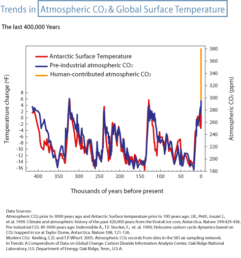 Temperature and carbon for last half million years